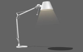 Adjustable Desk Lamp
