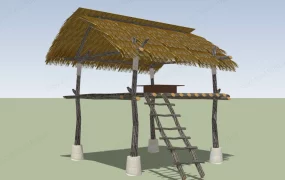 Traditional Thatched Roof Hut