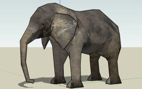 African Bush Elephant