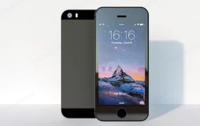 Apple IPhone 5S Black