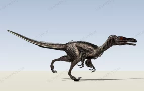 Troodon Dinosaur