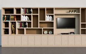 Tv And Bookcase Wall Unit