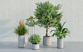 Concrete Pot Plants