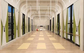 Luxury Yoga And Dance Studio Hall