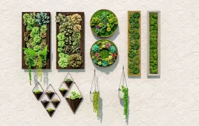 Indoor Vertical Green Wall