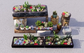 Succulent Garden Ideas