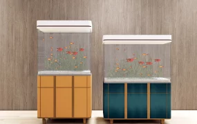 Fish Tank With Stands