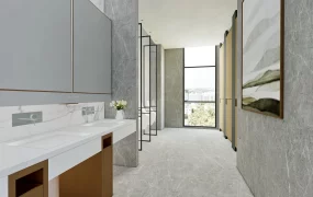 Public Toilet Design