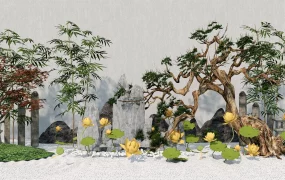 Zen Garden Landscape