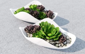 Succulent Dish Garden Idea
