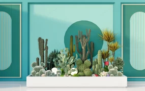 Indoor Cactus Garden Ideas