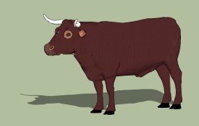 Brown Cattle