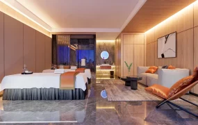 Luxury Spa Treatment Room