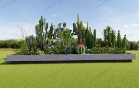Cactus Garden Ideas Landscape