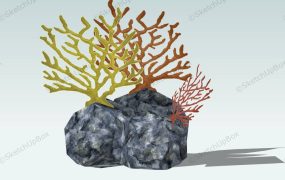 Coral Reef Rock