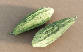 Bitter Gourd