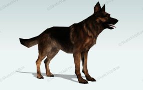 German Shepherd Dog