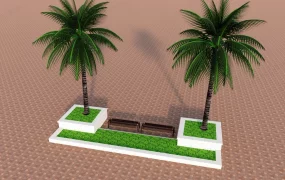 Palm Trees And Benches