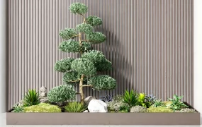 Japanese Inspired Indoor Garden