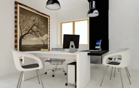 White And Black Manager Office