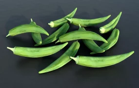 Okra Vegetable