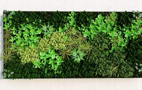 Vertical Garden Wall Panel