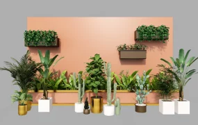 Modern Biophilic Indoor Potted Plant & Wall Planter Collection