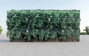 Outdoor Green Wall