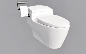 Bathroom Toilet
