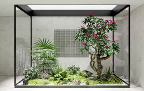 Glass Indoor Garden