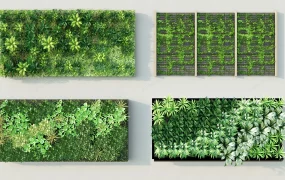 Green Wall Designs