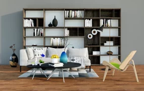 Small Living Room With Bookshelves