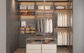 Modern Walk In Closet Design