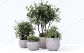 Large Concrete Tree Planters