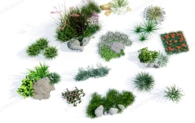 Ornamental Grasses Landscaping