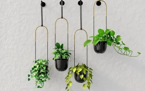 Wall Mount Hanging Plant