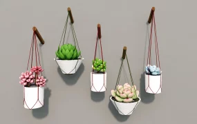 Wall Hanging Succulent Planters