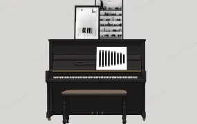 Home Piano