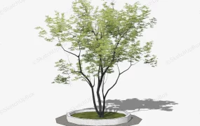 Simple Tree Surround