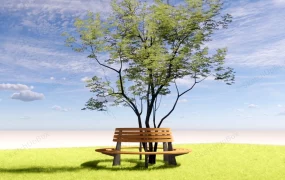 Wooden Tree Surround Bench
