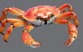 Red Crab