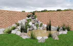 Small Garden Pond With Rock