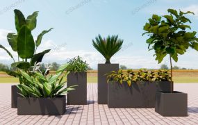 Black Concrete Planter Boxes