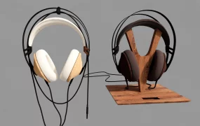 Wired Headphones