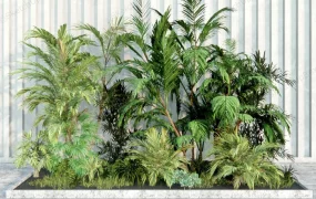Tropical Landscape Bed