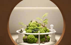 Indoor Moss Garden Idea