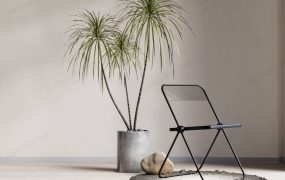 Accent Chair And Potted Plant