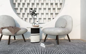 Accent Chair Set For Living Room