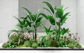 Indoor Gardening Ideas
