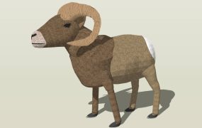 Horned Sheep